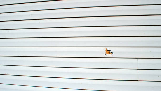 Best Composite Siding  in Colma, CA