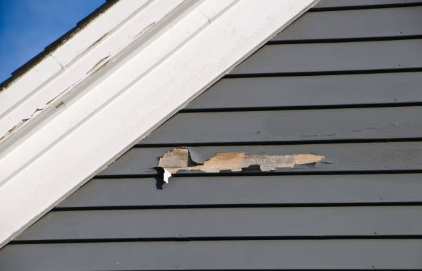 Best Wood Siding Installation  in Colma, CA